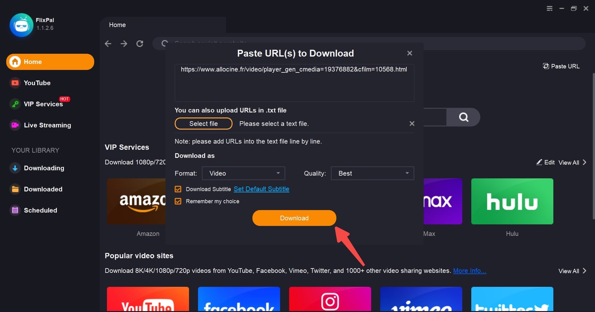 Step 3: Choose your preferred video, audio, and subtitle options, then click "Download Now".